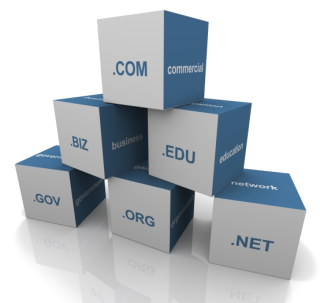 Extension de nom de domaine: .com, .edu, .biz, .gouv...