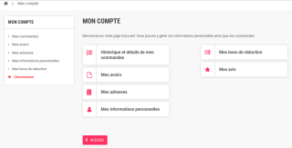 Capture d&rsquo;écran d&rsquo;un Back-Office: création de pages, statistiques...