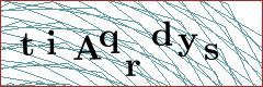 Image de vérification humaine (captcha)
